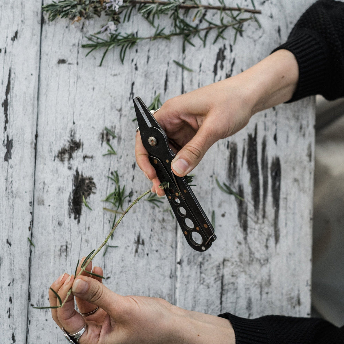 Herb Harvest and Strip Tool