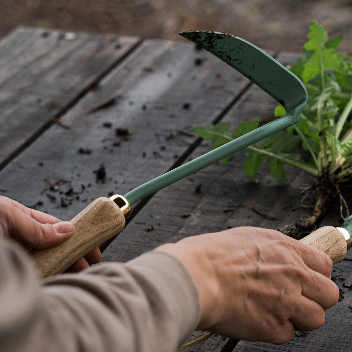 Japanese Weeding Hoe